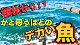 【超ド級】根掛かり並みのどデカい魚⁉️なんでも釣れてしまうルアーで巻き起こる劇的展開、家族みんなで魚を喰らう【コウタのオフch。】