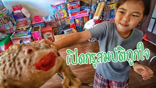 เปิดกรุสมบัติของเล่นน้องถูกใจ