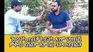 ፀገም ህዝብኻ ምቅላዕ የሽልም እምበር ባንዳ አየብልን