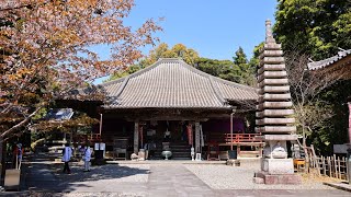 8K HDR 高知 最御崎寺 四国遍路24番札所 Kochi,Hotsumisakiji,Shikoku88 Pilgrimage No.24