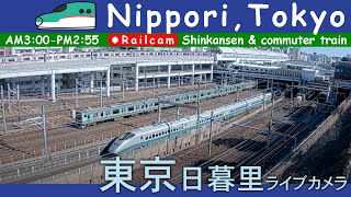 【LIVE】東京日暮里 鉄道ライブカメラ 2024-09-04 03:00- Nippori,Tokyo,Japan railcam