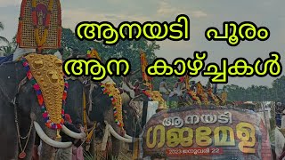 ആനയടിയിലെ ആന  കാഴ്ച്ചകൾ,ആനയടി പൂരം #trending #viral #shorts #ആനക്കാര്യം #shivaraju #kalidasan