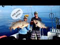 FISHING for Kitty Mitchell Grouper (Commercial Fishing Trip)