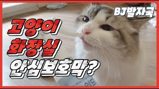 고양이집사라면 필독! 안심 보호막제품 리뷰 #고양이모래 #고양이화장실