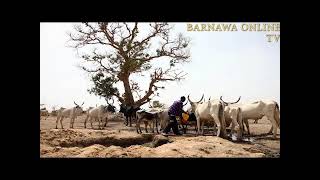 HISTORY OF BARNAWA