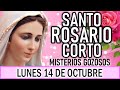 Santo Rosario Corto de hoy Lunes 14 de Octubre 🌿🌹🌿 Misterios Gozosos 🌿🌹🌿 Rosario a la Virgen María 💖