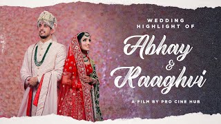 Abhay & Raaghavi | Vaaroon | Mirzapur | Hardum Humdum | Ludo | Wedding Highlight | Pro Cine Hub
