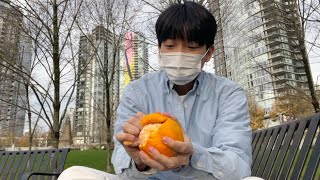 캐나다에서 개처럼 살기, 자몽 까먹기🍊