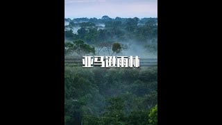 亚马逊雨林为何被人称为“动植物的天堂，人类的禁地” #科普一下 #   抖音 part 40