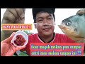 LEPAS DARI KEBODOHAN !!! UMPAN EDAN HANYA DUA RIBU BISA KURAS EMPANG HARIAN BAWAL YANG MOGOK MAKAN