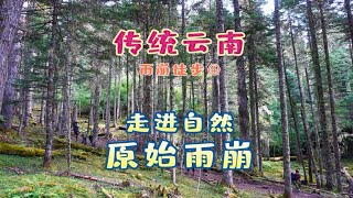 3000米海拔原始森林徒步挑战！河流，山川，树木，太惊艳了！