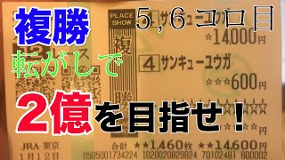 【1年後には２億円!?】その日イチの複勝鉄板馬に1年転がし続けて大金ゲット!?5,6日目【複勝ころがし】【競馬】【長期企画】