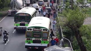 Ordenamiento del transporte colectivo