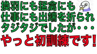 #89 さささ、若様たち。始まりますよ…。の巻