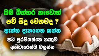 බිත්තර කෑවොත් පව් සිදු වෙනවද ?  ඇත්ත දැනගෙනම කන්න eat eggs