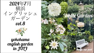 【2024年7月 横浜イングリッシュガーデン vol.8】yokohama english garden in JULY