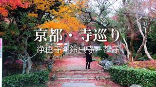 Suzumushi Temple▶︎Only one wish will come true [Tour- Jyujoji,  Kegonji, Saihoji(Kokedera)]