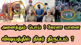 கர்ப்பிணி யானை விஷயத்தில் திடீர் திருப்பம் ? அட பாவிங்களா !