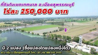 (มัดจำแล้ว)ขายที่ดินสุพรรณบุรีราคาถูก อ.เมืองสุพรรณบุรี(EP.104) ติดบึงน้ำสาธารณะ ไร่ละ 250000 บาท