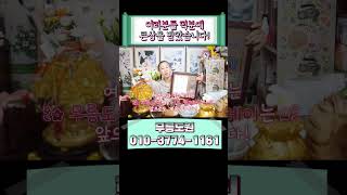 여러분들 덕분에 큰 상을 받았습니다!! 감사해요 #shorts #광명시 #상 #덕분