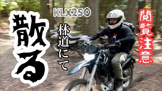 《クロスカブ × 林道》クロスカブに負けない！KLX250で戦った結果・・・