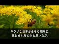 【感動する話】会社の同僚の連帯保証人になり、同僚が失踪…妊娠していた妻と離婚…。20人後、取り立て屋が来て「えっ、その指輪…」いい話　泣ける話