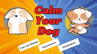 How to Reduce Dog Anxiety Tackling Fear and Hyperactivity | My-Petsible