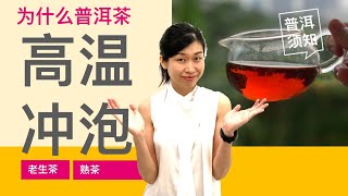 冲泡好喝的普洱茶：为什么普洱茶的冲泡必须高温？Why Brewing Puerh Tea with extremely Hot water ?