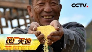 《农广天地》粟说—— 一粒小米的故事（三）20181226 | CCTV农业