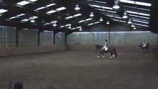 Dressage \u0026 Principles Of Classical Riding