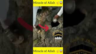 Miracle of Allah ☝️😱 || #shorts #miracle #allah
