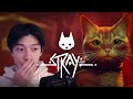 I Became a Cat (Stray)