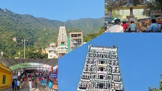 மருதமலை முருகன் கோயில் சிறப்பு தெரியுமா உங்களுக்கு😍|temple at coimbatore|murugar|best place at covai