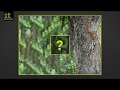 How to spot a phishing email - Episode 2