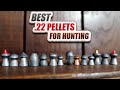 TOP 9 Best .22 Pellets for Hunting - Madman Review