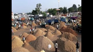 Cotton \u0026 groundnuts sale have started at marketing yard