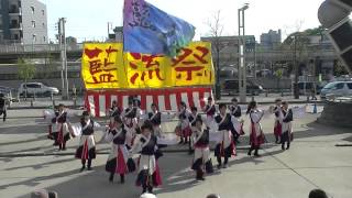 「藍流」　有松よさこい　舞りゃ～せ2014