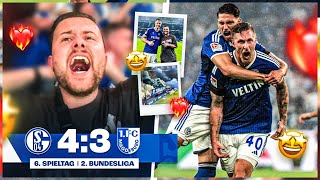 UNFASSBAR 😨😍 Schalke vs Magdeburg STADION VLOG 🏟️
