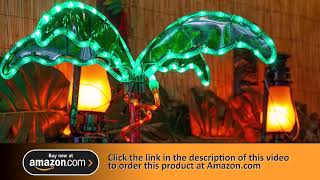 Deluxe Tropical LED Rope Light Palm Tree with Lighted Holographic Trunk and Fronds (2.5 Foot)