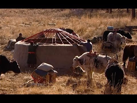 Why did nomads live in small groups?