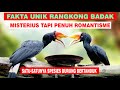 Harus Tau! Fakta Unik Burung Rangkong yang Misterius Tapi Romantis - Rangkong Badak / Enggang