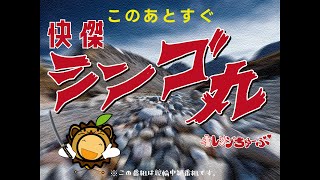 【和歌山競輪ライブ】WBS和歌山放送杯ＦⅠ 2日目 11/12【オレンジちゅーぶ】