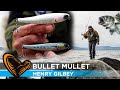 Bullet Mullet, Bass Fishing, Henry Gilbey