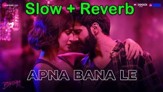 Apna Bana Le - Slow + Reverb | Varun Dhawan, Kriti S, Arijit Singh | Lofi Song | Shahbaz Siddiqui
