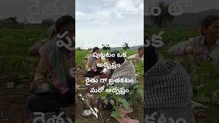 రైతు కి ఓ లైక్ చెయ్యండి please like and subscribe