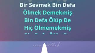 Bir sevmek bin defa ölmek demekmiş - Barış Akarsu | KARAOKE