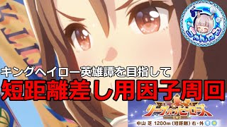 【ウマ娘】キングヘイロー英雄譚に向けて短距離差し因子周回を続けていく枠【メカウマ娘シナリオ】