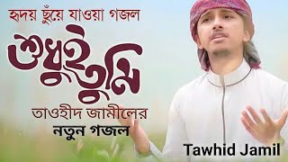 Shudhui Tumi | তাওহীদ জামীলের নতুন গজল | শুধু তুমি | Tawhid Jamil | Kalarab | Holy TV Online