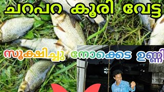 കൂരി വേട്ട | CATFISH HUNTING | ചറപറ കൂരി | ഇത് പോലേ ഒരു കൂരി വേട്ട എന്റെ ജീവിതത്തിൽ ചെയ്തിട്ടില്ല