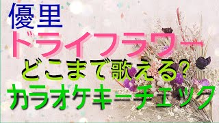 [音域チェック]優里のドライフラワー(±7キー)どこまで歌える⁉︎カラオケでちょうどいいキーを探せる動画mid1C〜hiE